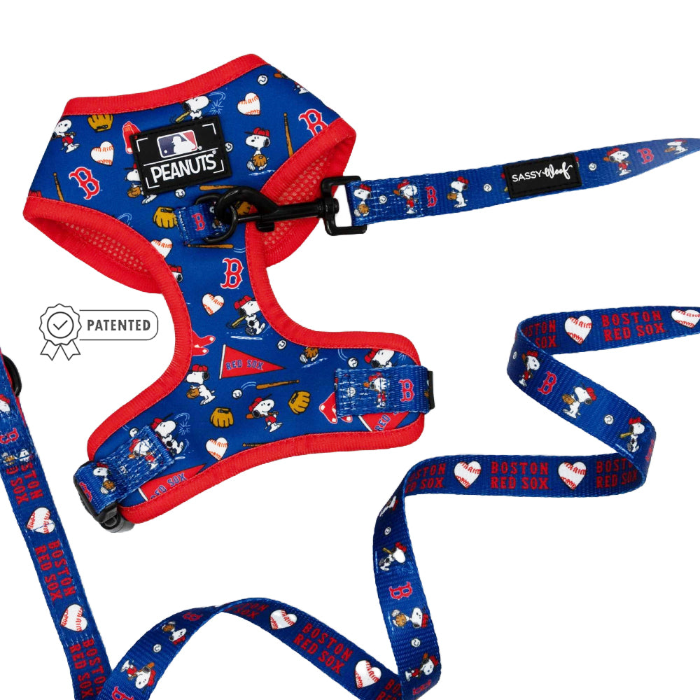 Dog Two Piece Bundle - MLB x Peanuts™ Boston Red Sox™
