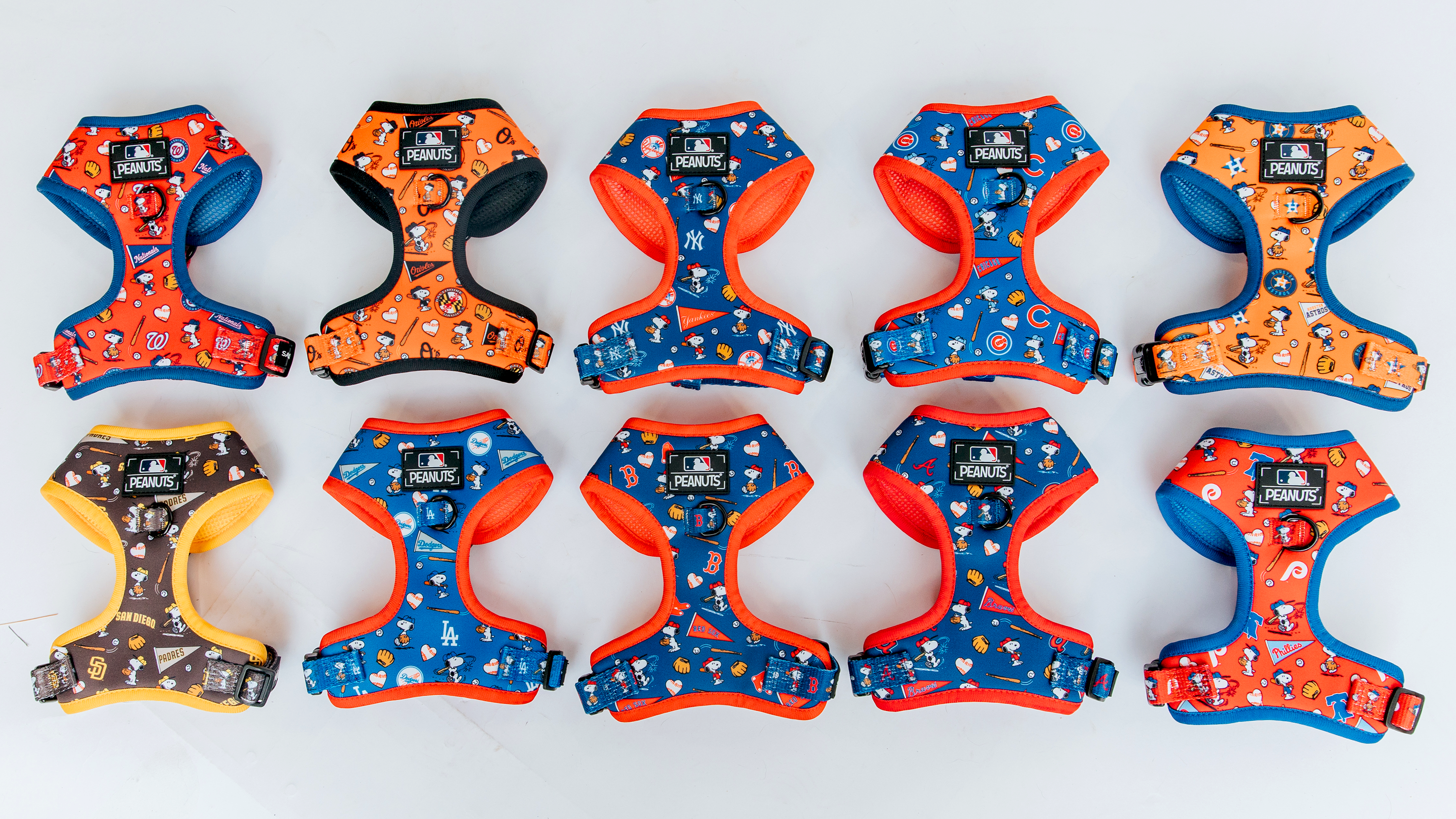 an assortment of dog harnesses
