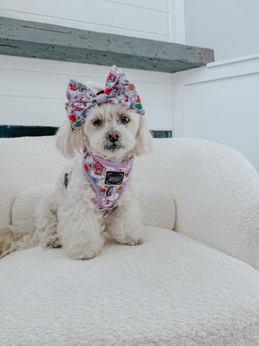 INFLUENCER_CONTENT | @MOCHI_THE_POO