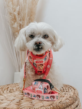 INFLUENCER_CONTENT | @MOCHI_THE_POO | SIZE S & XS