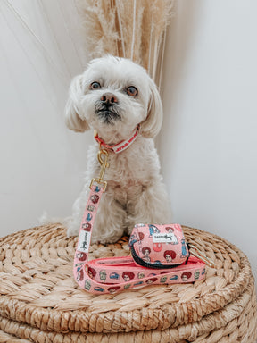 INFLUENCER_CONTENT | @MOCHI_THE_POO | SIZE S