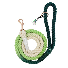The Sassy Woof Dog Rope Leash - Disney's Mulan features a cotton rope with an ombre gradient from dark green to white, rose gold hardware, a metal clasp, and a dog-shaped charm hanging from the handle.