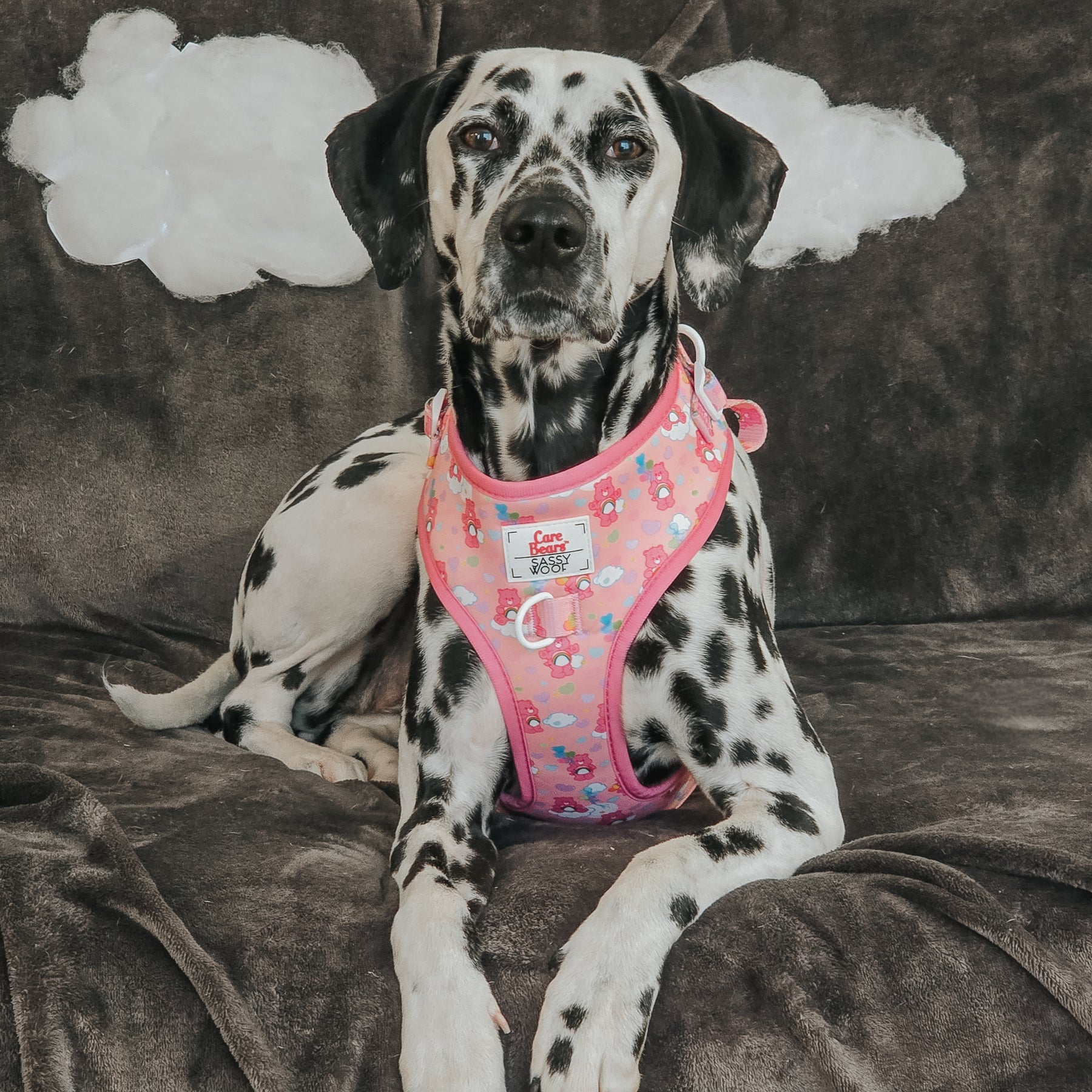 INFLUENCER_CONTENT | @MANCHASTHEDAL | SIZE L