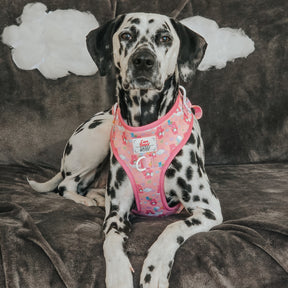 INFLUENCER_CONTENT | @MANCHASTHEDAL | SIZE L