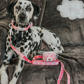 INFLUENCER_CONTENT | @MANCHASTHEDAL | SIZE M