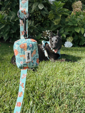 INFLUENCER_CONTENT | @MAPLE.AND.FREYA I COLLAR SIZE: M & HARNESS SIZE: L