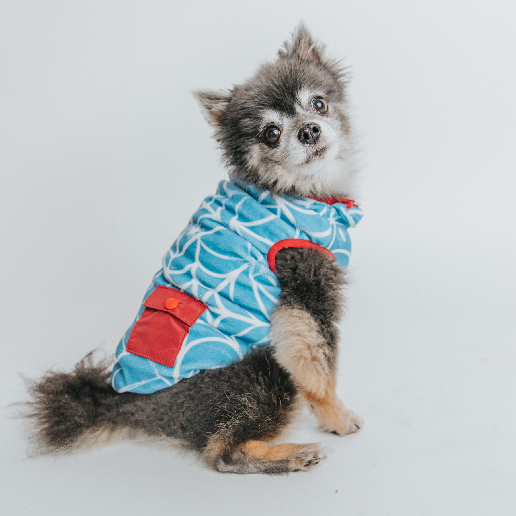 Dog Reversible Sherpa Jacket - Marvel’s Spider-Man