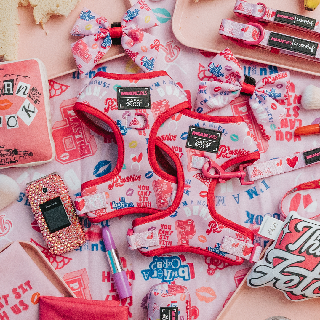 A flat lay of pink and red-themed dog accessories featuring harnesses, bows, and tags with Mean Girls designs, surrounded by makeup, a phone, and decorative items on a patterned surface.