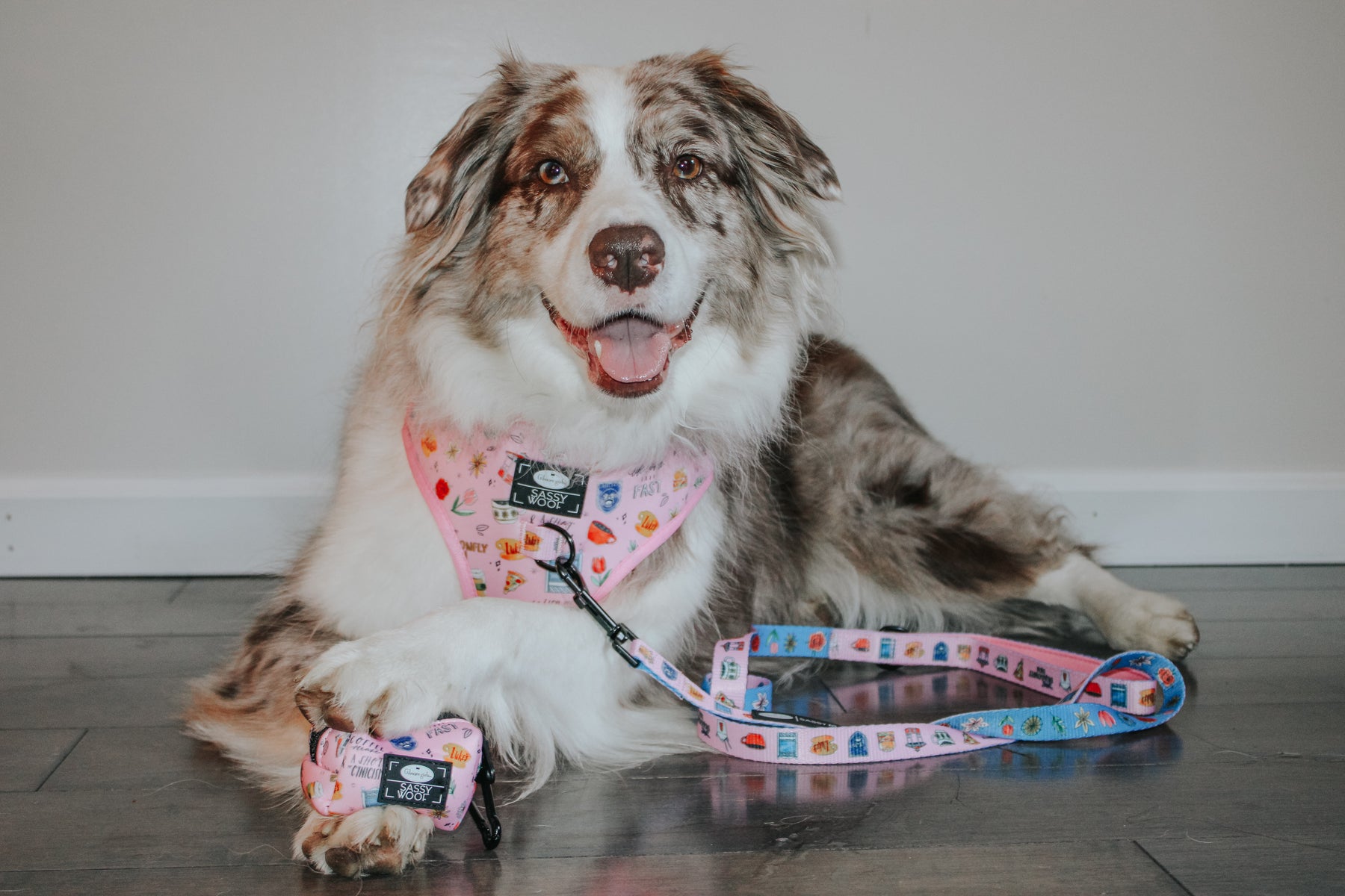 INFLUENCER_CONTENT | @MILATHEAUSSIEDOG | SIZE L & XL