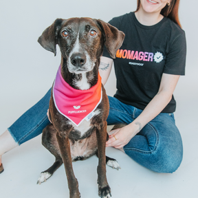 A black dog in a pink and white Dog Bandana - Pupfluencer by Sassy Woof sits in front of a smiling person wearing a Momager t-shirt against a bright, plain background.