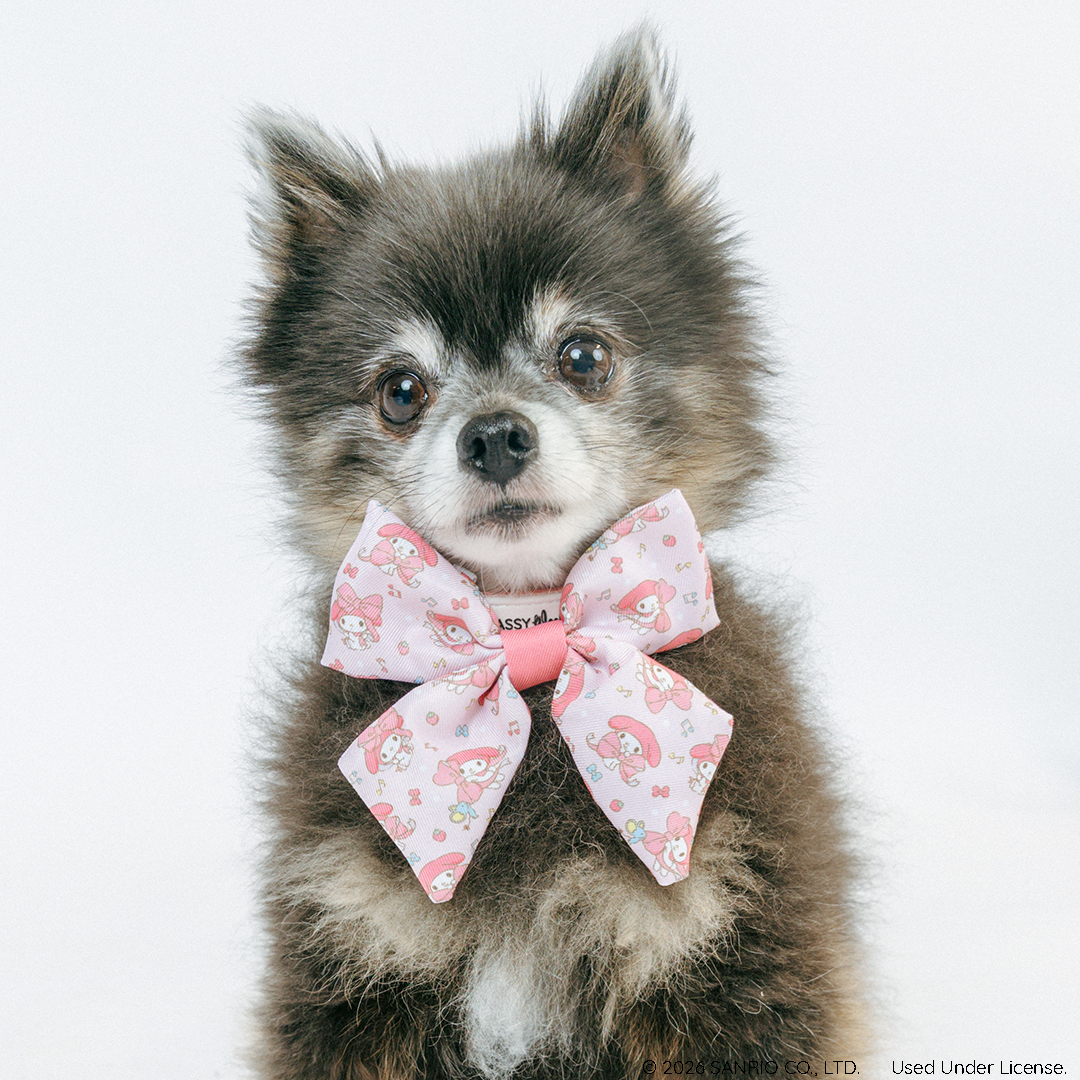 INFLUENCER_CONTENT | @PEANUTPARTI | 