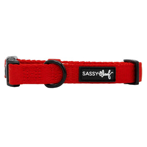 Dog Collar - Neon Red