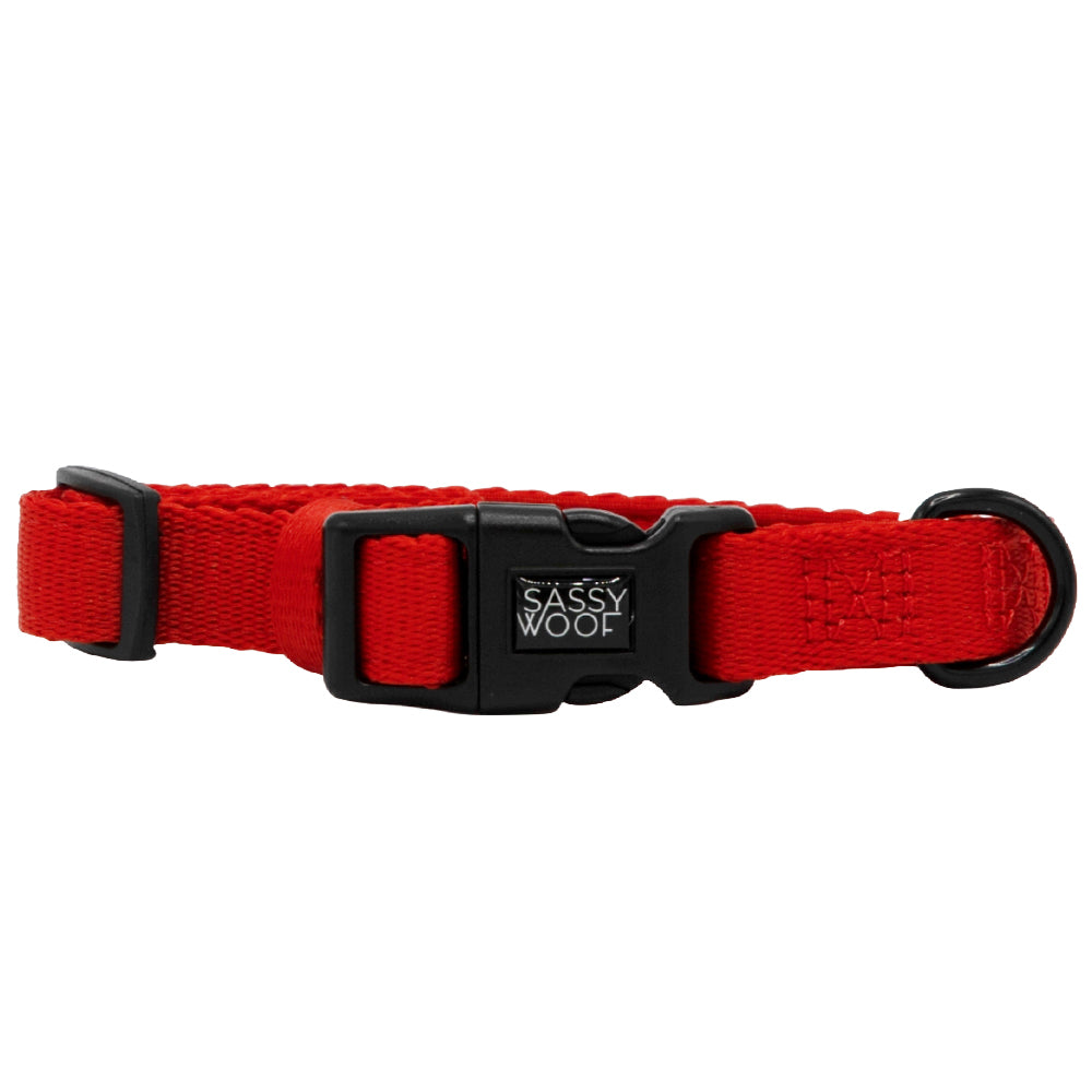 Dog Collar - Neon Red
