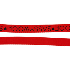 Dog Leash - Neon Red