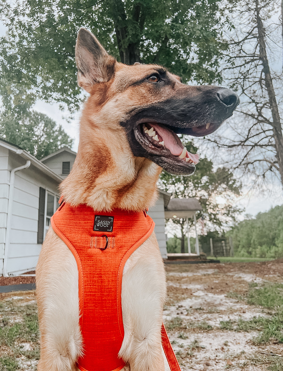 INFLUENCER_CONTENT | @KONA_THE_GSD20 | SIZE XL