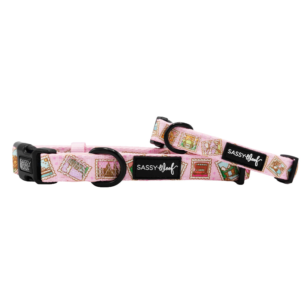 The Sassy Woof Dog Collar - Out of Office is a pink adjustable neoprene collar with black buckle and D-ring, decorated with book illustrations—style and comfort for your pup's growth plan.