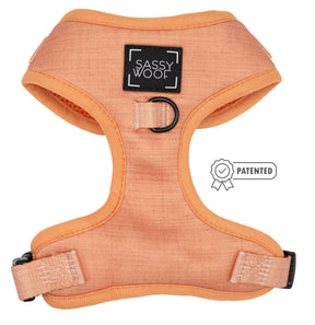 Dog Two Piece Bundle - Apple Cider