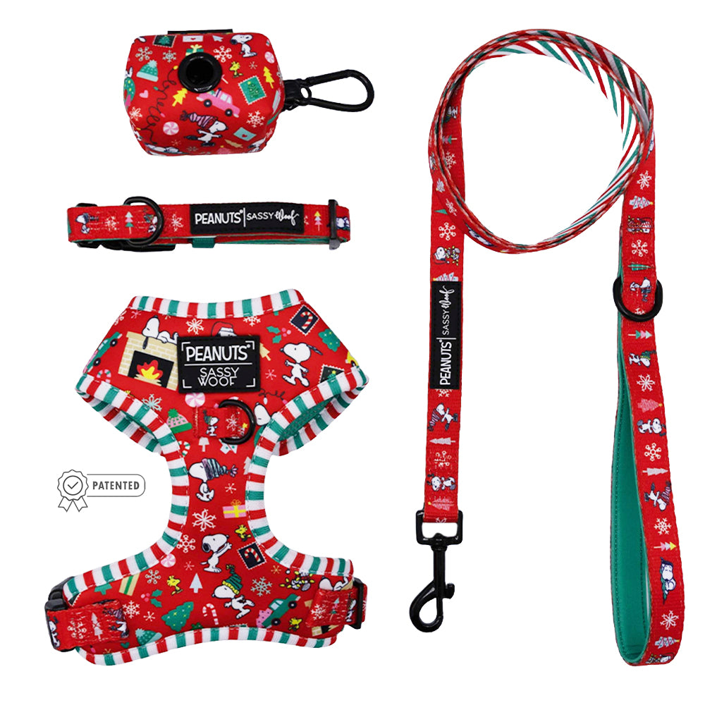 Dog Four Piece Bundle - Peanuts™ Beagle Bells