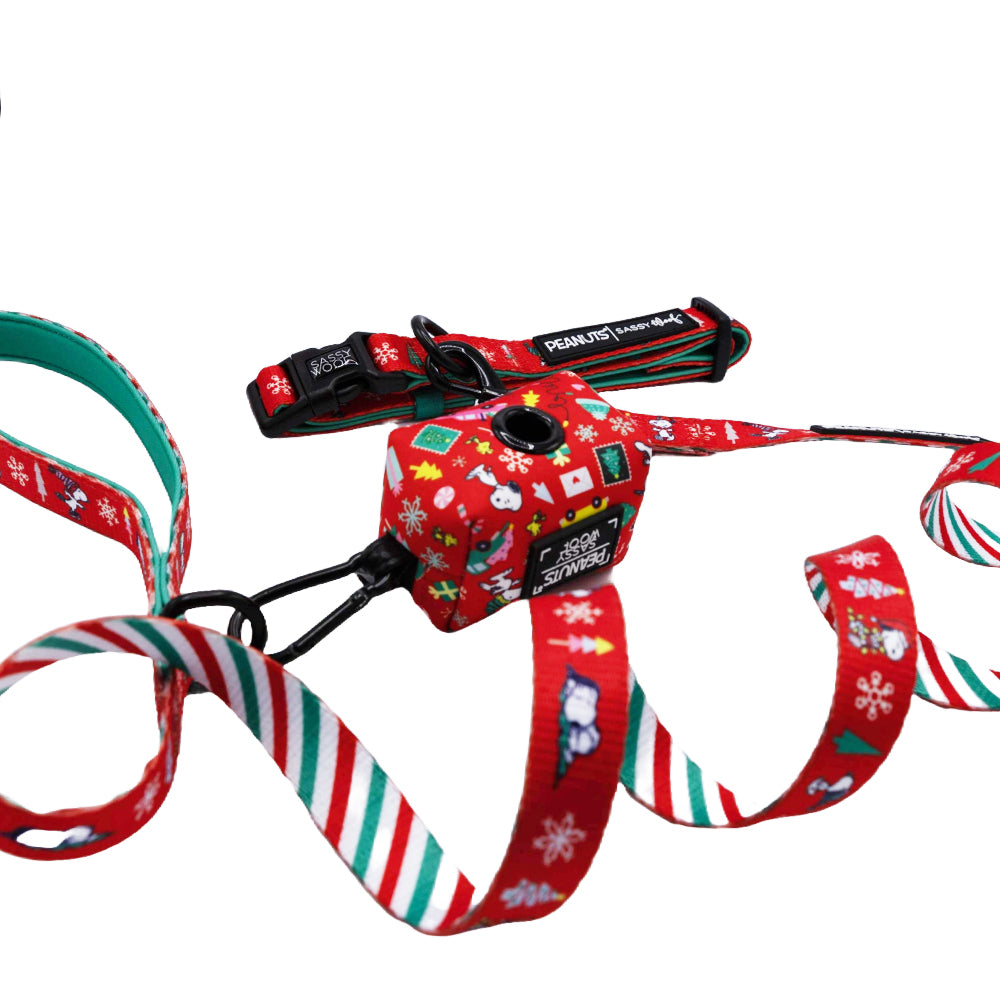 Collar Three Piece Bundle - Peanuts™ Beagle Bells
