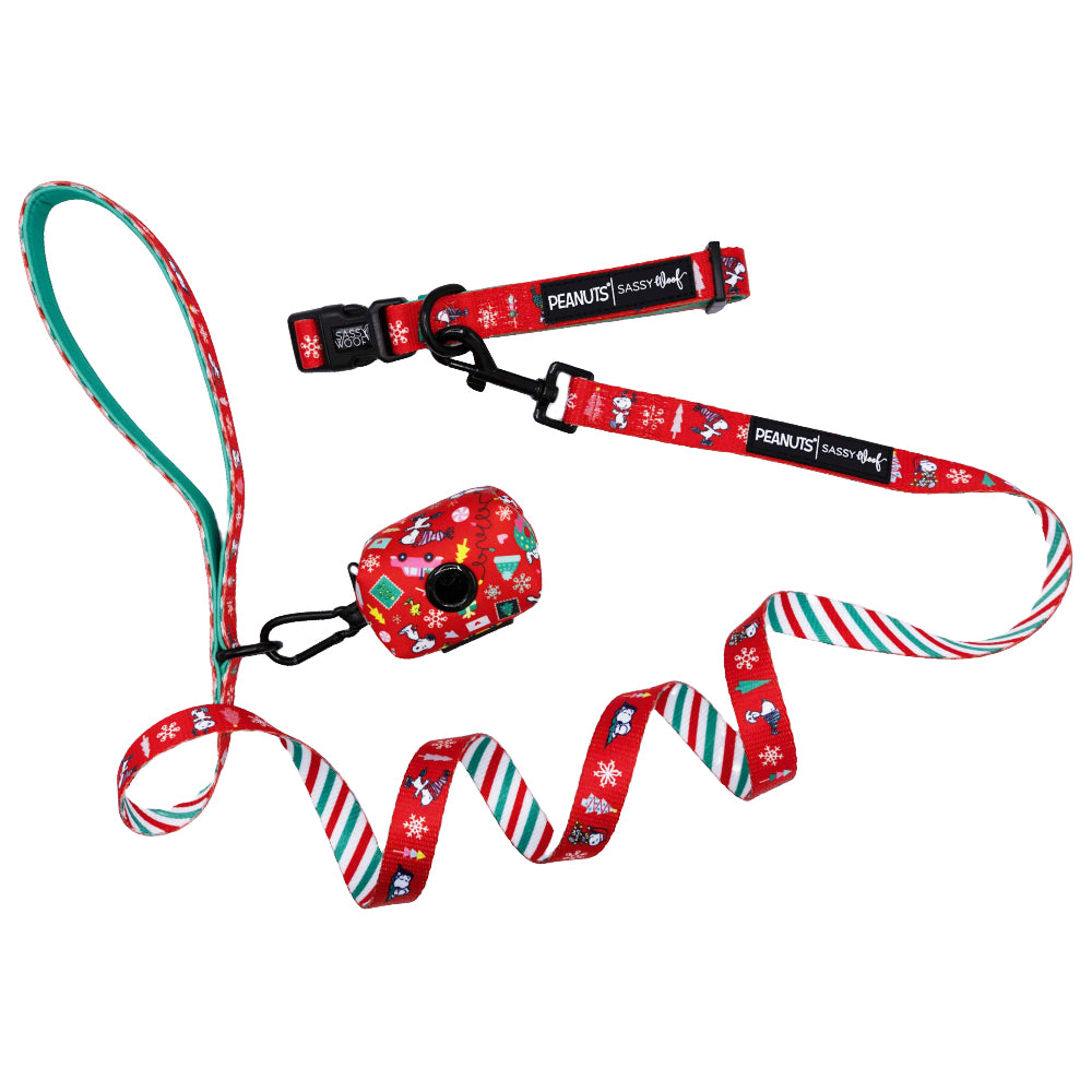 Collar Three Piece Bundle - Peanuts™ Beagle Bells