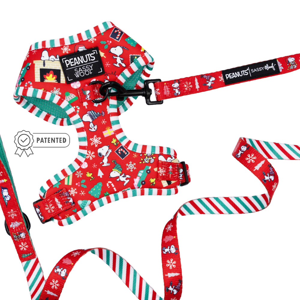 Dog Two Piece Bundle - Peanuts™ Beagle Bells