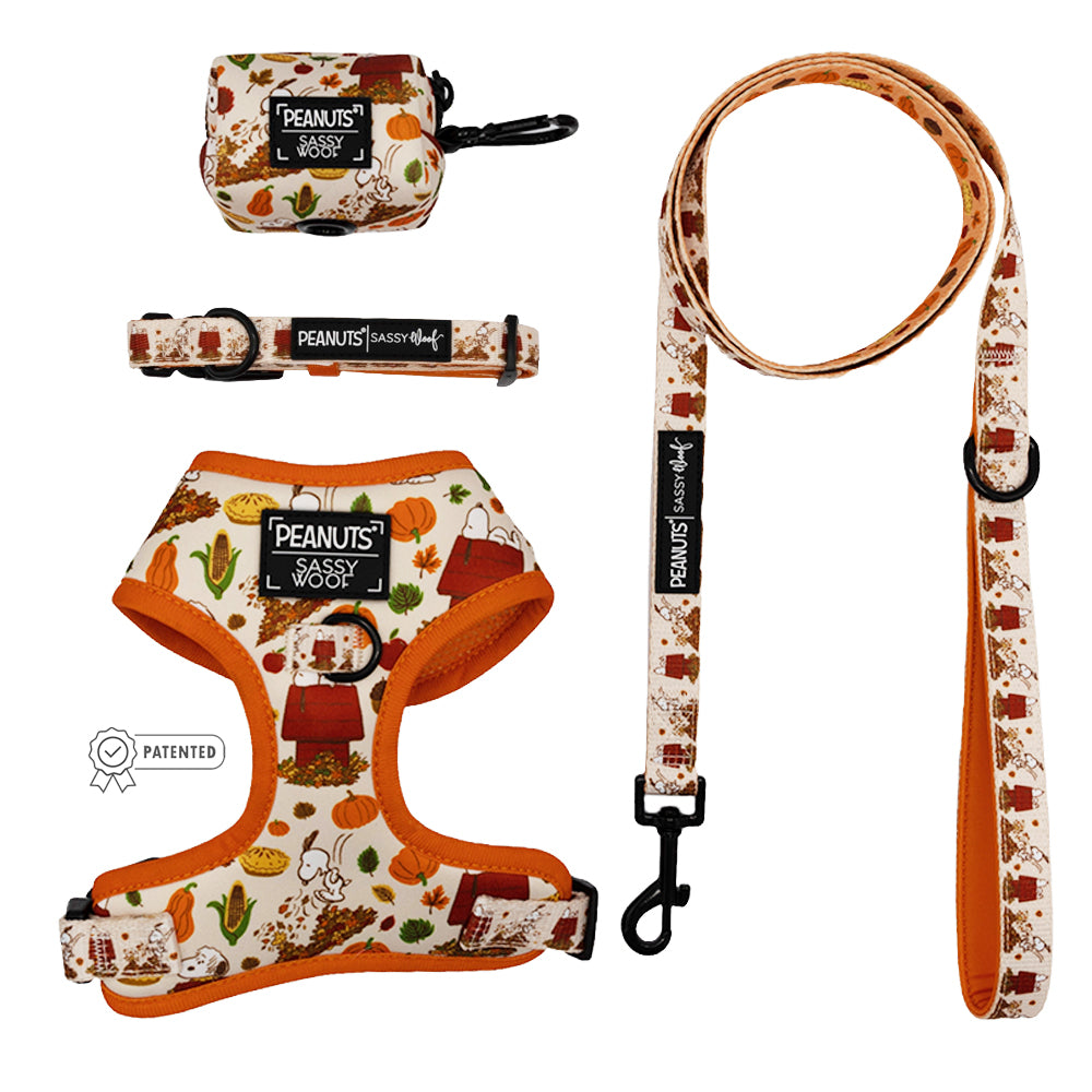 The Sassy Woof Dog Four Piece Bundle - Peanuts™ Harvest features an autumn Snoopy design with pumpkins and leaves. Includes a harness, leash, collar, and waste bag holder—perfect for fall adventures with your pup!.