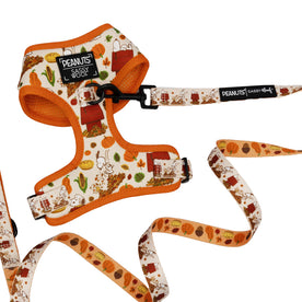 The Sassy Woof Dog Two Piece Bundle - Peanuts™ Harvest features a harness and leash with orange trim and Snoopy autumn-themed designs, including pumpkins and leaves. Both items display the Peanuts™ and Sassy Woof brand labels.