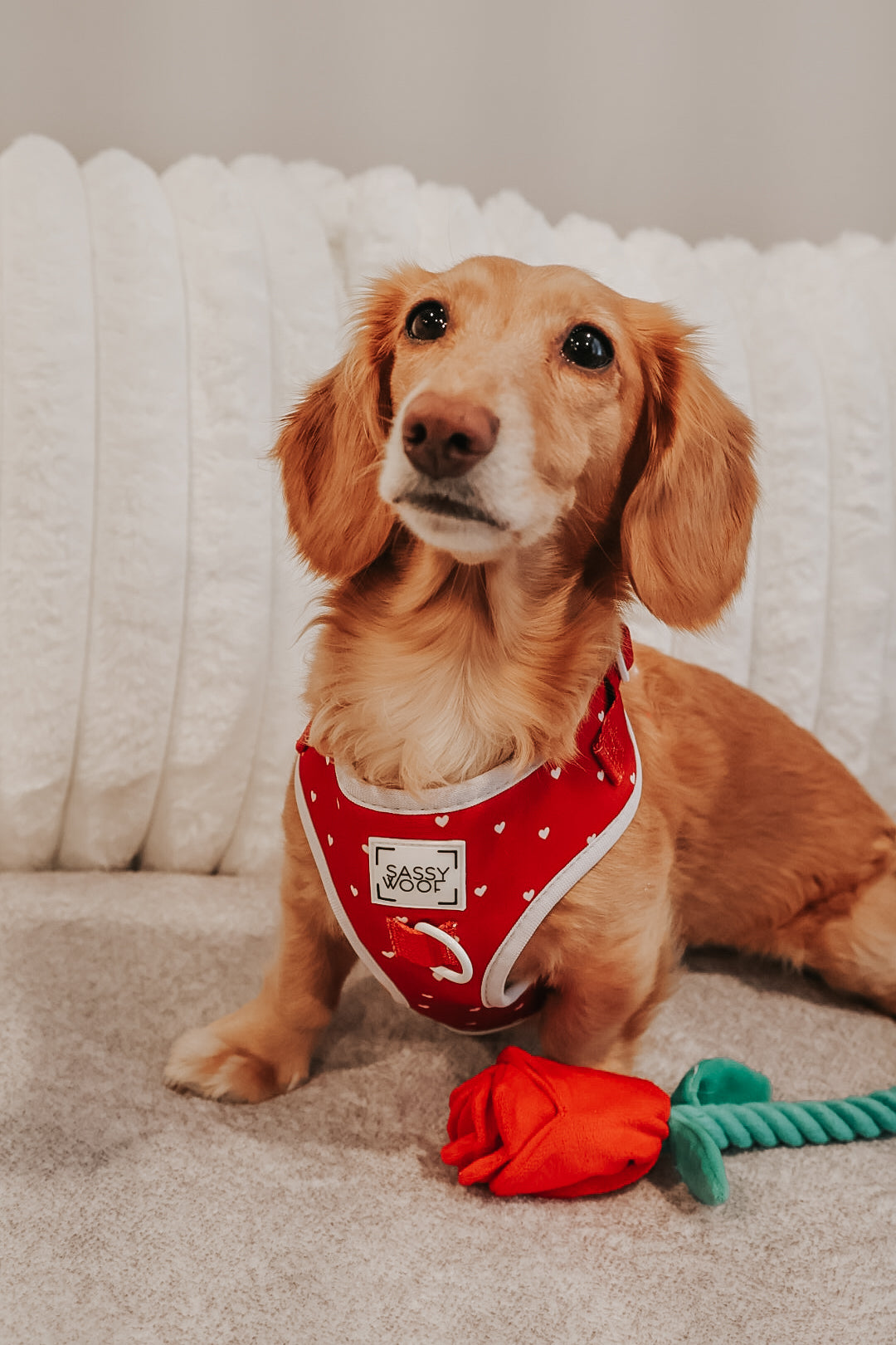 INFLUENCER_CONTENT | @PITCHERS_OF_STELLA | SIZE S