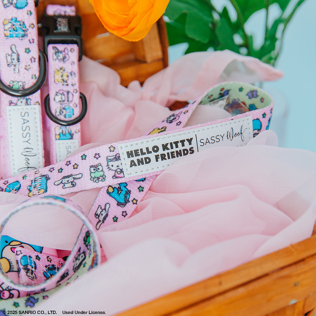 Collar Three Piece Bundle - Hello Kitty® & Friends Flower Festival