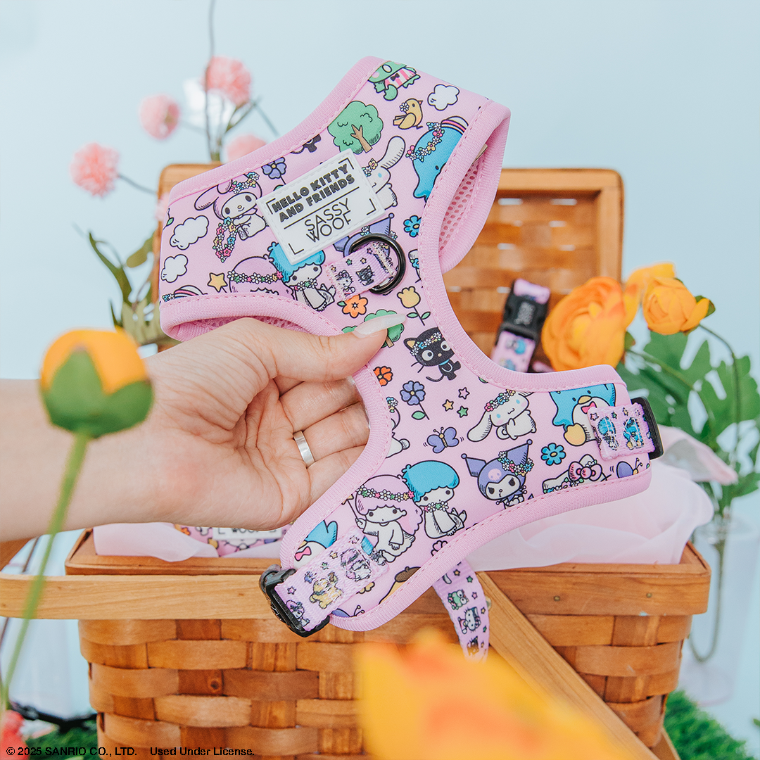 A hand holds the Sassy Woof Dog Two Piece Bundle - Hello Kitty® & Friends Flower Festival harness in pink, featuring Sanrio character designs, displayed in front of a floral picnic basket and pastel accents.