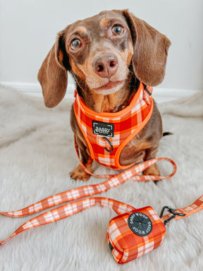 INFLUENCER_CONTENT | @PUMPKIN.WEENIE | SIZE S