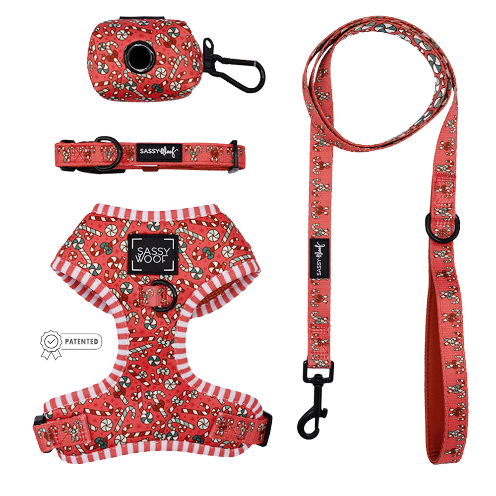 Dog Four Piece Bundle - Puppermint Twist