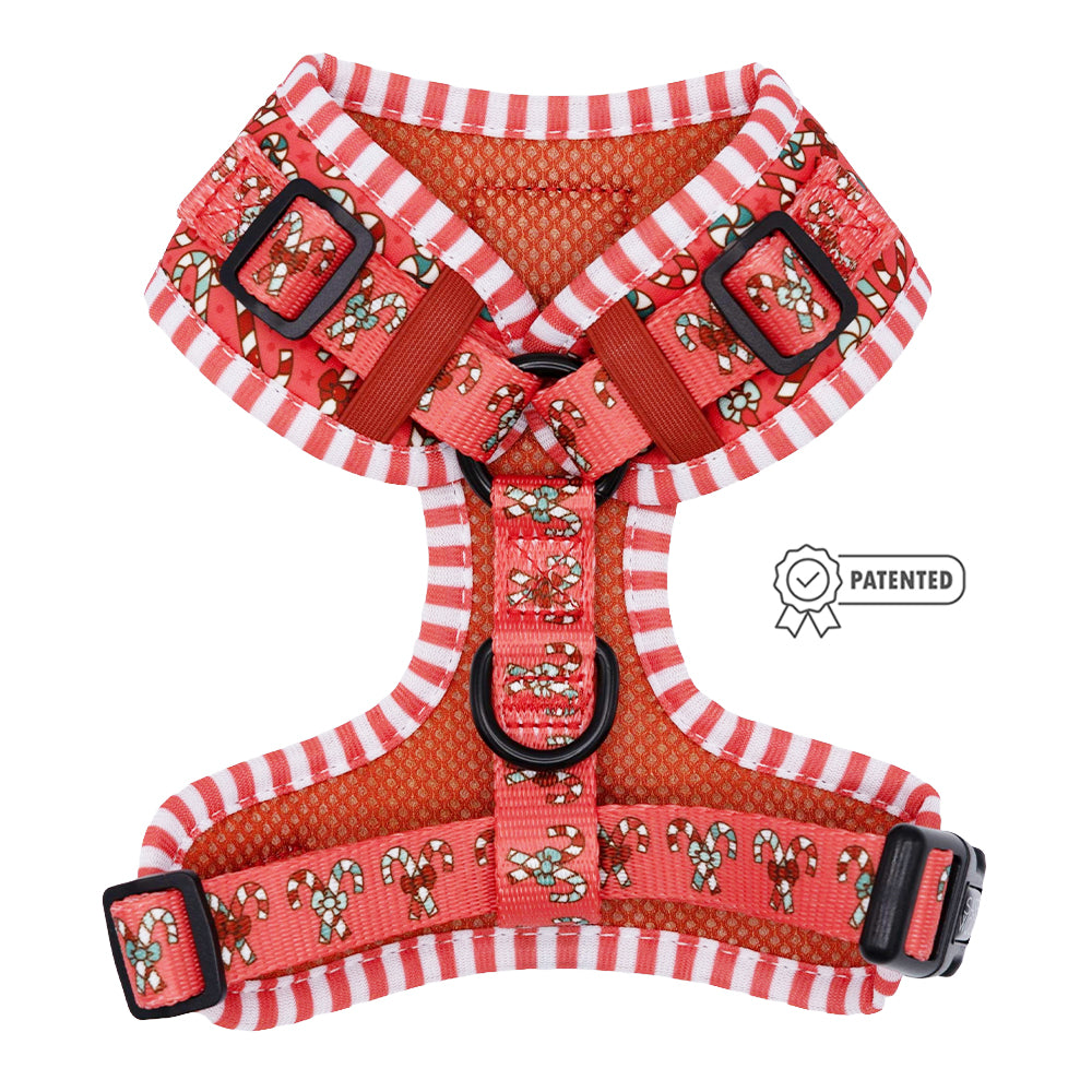 Dog Adjustable Harness - Puppermint Twist