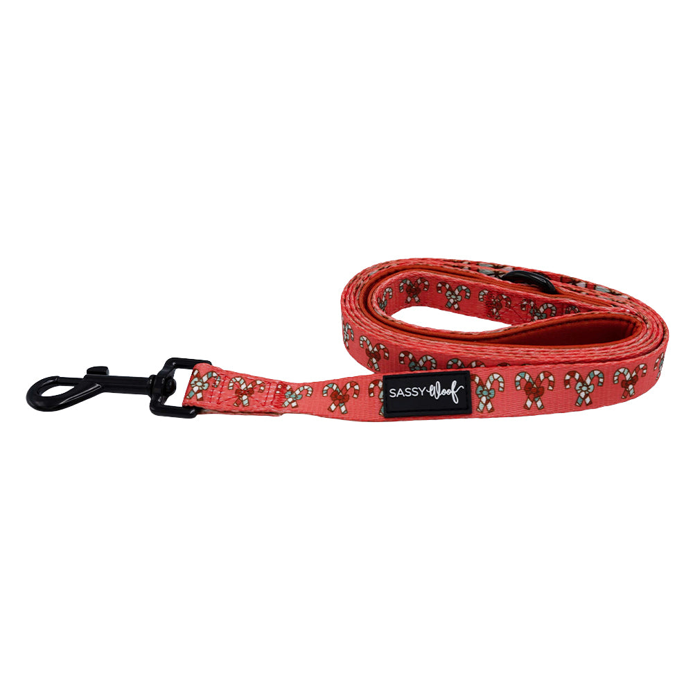 Dog Leash - Puppermint Twist
