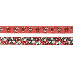 Dog Leash - Puppermint Twist