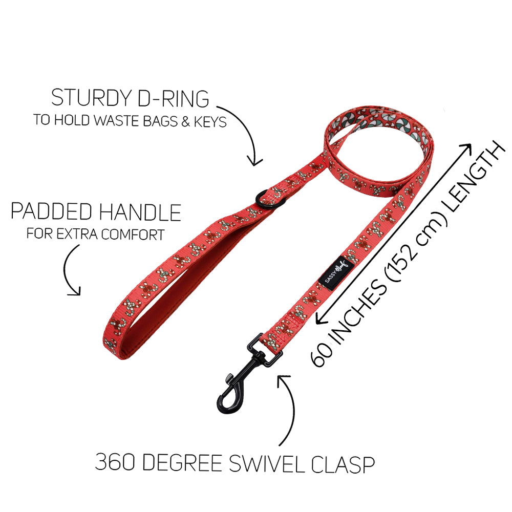 Dog Leash - Puppermint Twist