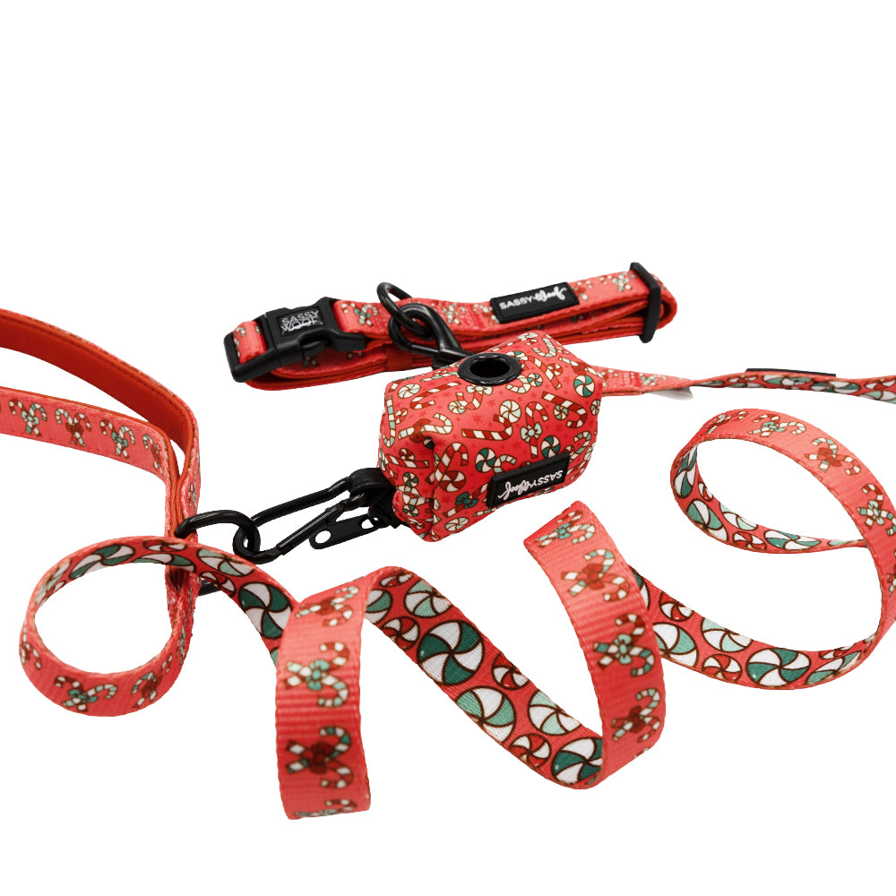 Dog Three Piece Bundle - Puppermint Twist