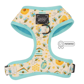 Dog Two Piece Bundle - Bee Sassy