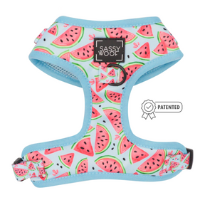 Dog Two Piece Bundle - Oh My Melons