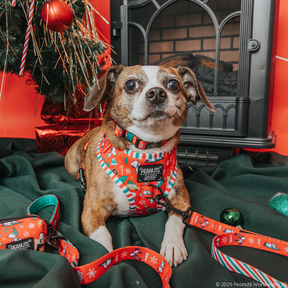 A small dog wearing the Sassy Woof Dog Leash – Peanuts™ Beagle Bells sits on a green blanket by a decorated Christmas tree and fireplace, surrounded by festive ornaments and gifts.