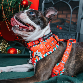 A Boston Terrier wearing the Sassy Woof Dog Collar - Peanuts™ Beagle Bells lies on a green blanket in front of a decorated Christmas tree and fireplace, looking up with its mouth open and tongue out.