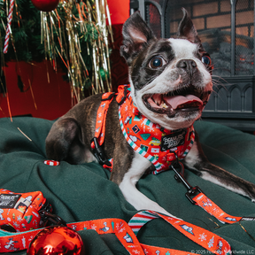 A Boston Terrier, wearing festive Snoopy holiday accessories and a red harness, sits on a green cushion by the Christmas tree with the Sassy Woof Dog Waste Bag Holder - Peanuts™ Beagle Bells by its side.
