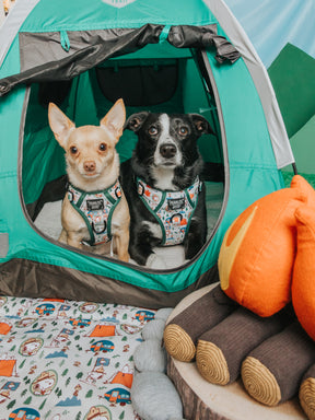 Two dogs in Sassy Woof’s Dog Two Piece Bundle - Peanuts™ Beagle Scouts sit in a green tent, with a toy campfire and log plushies on a mat featuring Peanuts Beagle Scouts camping illustrations.