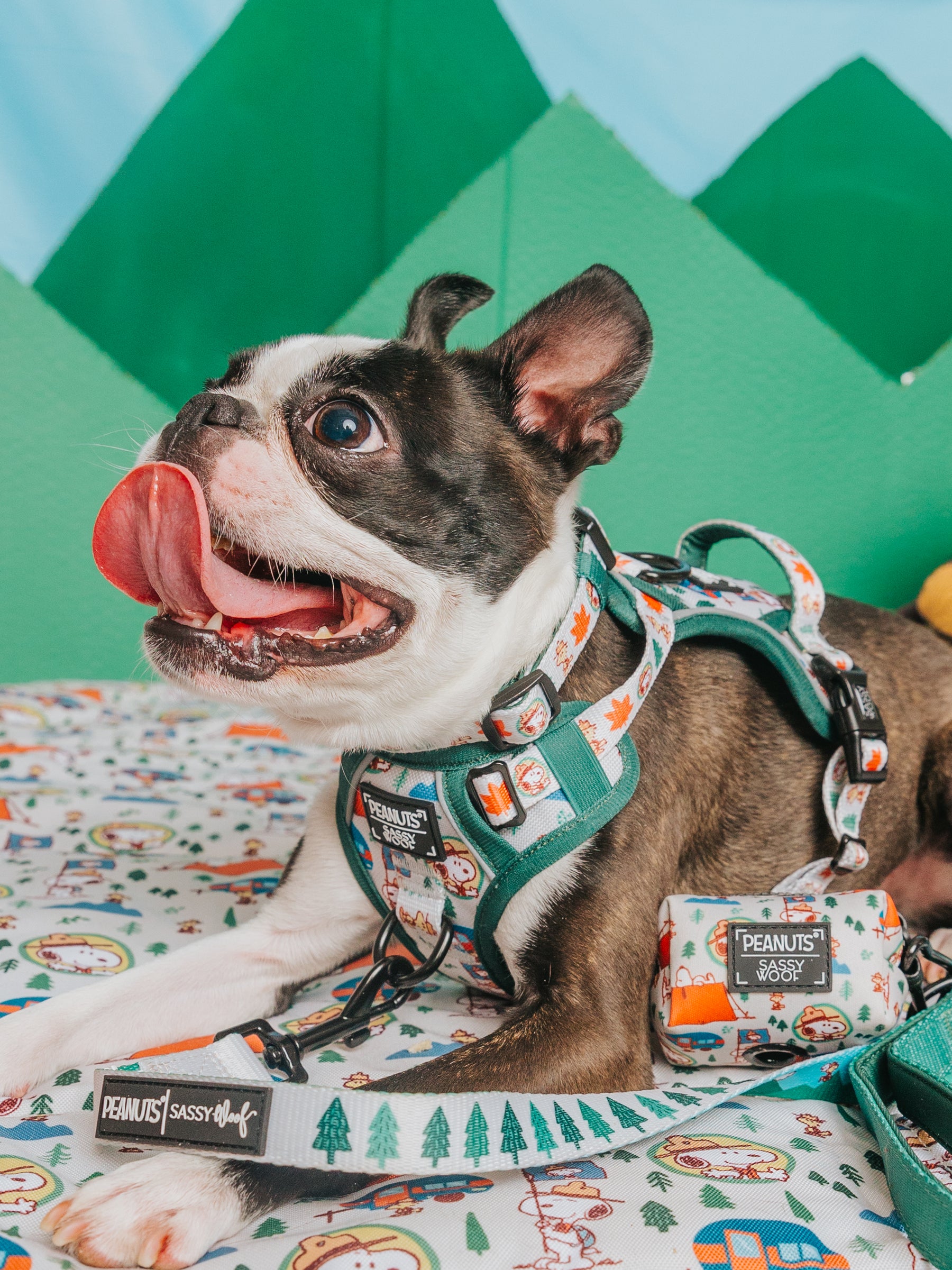 INFLUENCER_CONTENT | @THECHUNKY_AND_THEMONKEY 