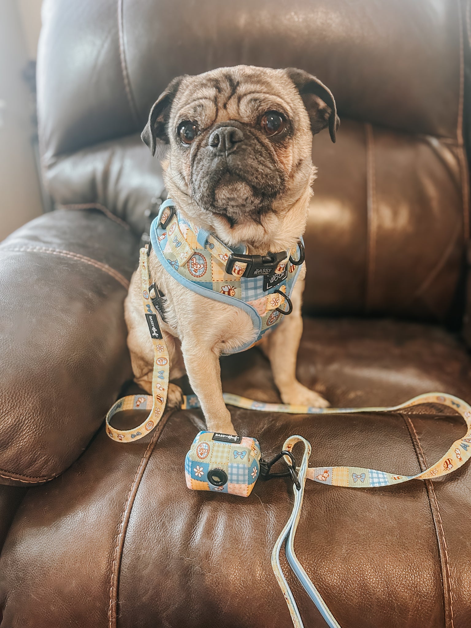 INFLUENCER_CONTENT | @PENNIEPUG | SIZE M & S