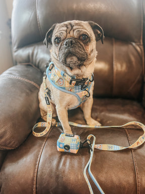 INFLUENCER_CONTENT | @PENNIEPUG | SIZE M & S