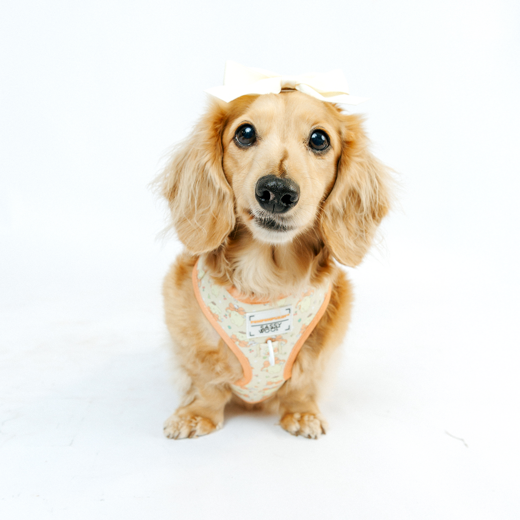 INFLUENCER_CONTENT | @MAYATHEDOX | SIZE XS