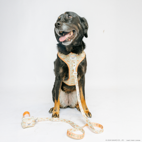 INFLUENCER_CONTENT | @SUNNYTHEAUSSIEDOR | SIZE L