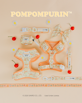 Flat lay of pastel orange and cream Sassy Woof pet accessories, including the Dog Collar - Pompompurin™, harnesses, a bow, leash, bag, and strap with cherry accents on a pale peach background.