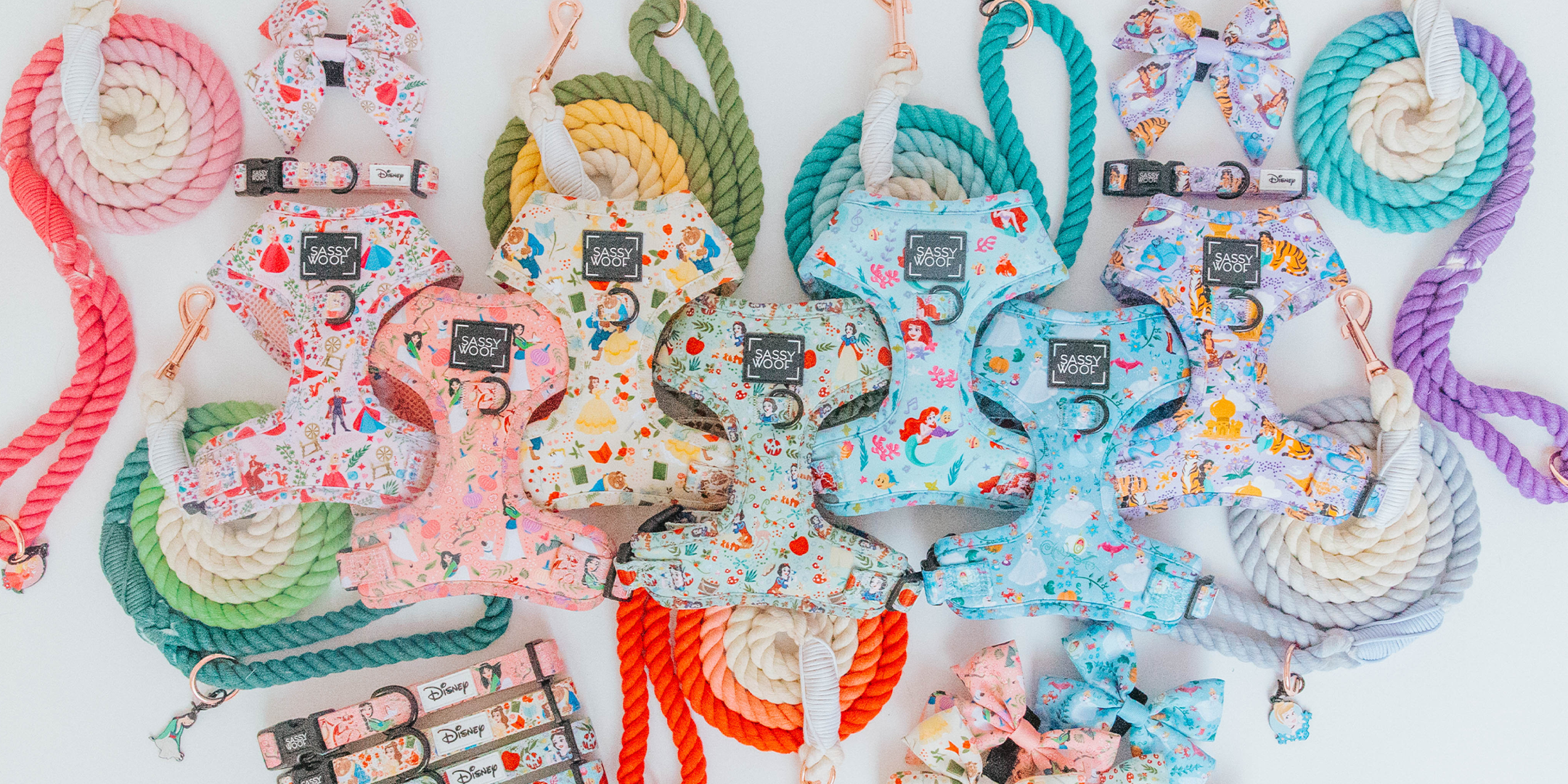 A colorful display of Disney-themed dog harnesses, leashes, and bows arranged in rows. The items feature characters like Ariel and Belle, and are paired with matching pastel-colored rope leashes and collars.